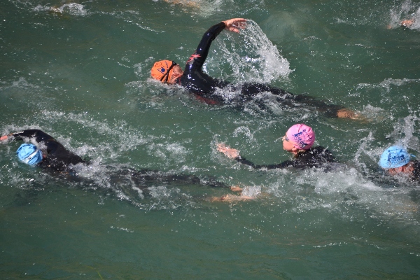 Nadadores en plena competición