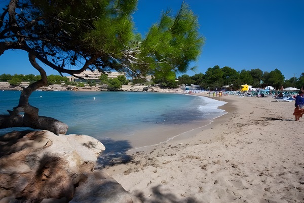 Playa Port des Torrent. San José, Ibiza (Eivissa)