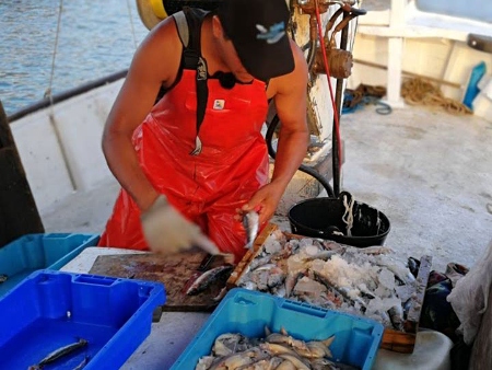 Peix Nostrum Ibiza: preparando el pescado en el barco